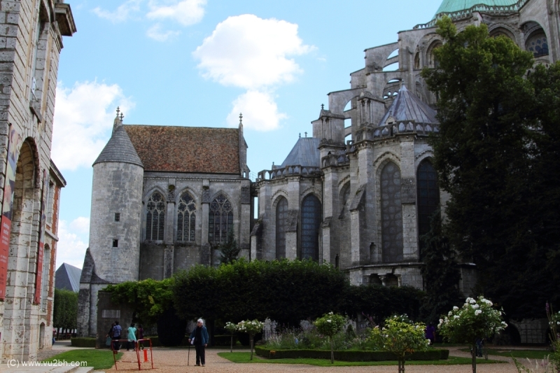 17-IMG_3648_DPPCatH