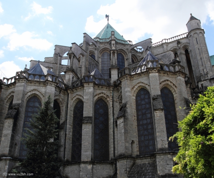 19-IMG_3516_DPPCatH