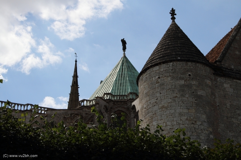 20-IMG_3635_DPPCatH