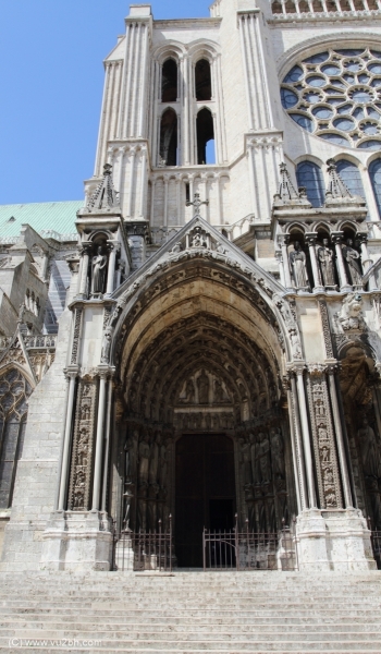 3-IMG_3481_DPPCatV
