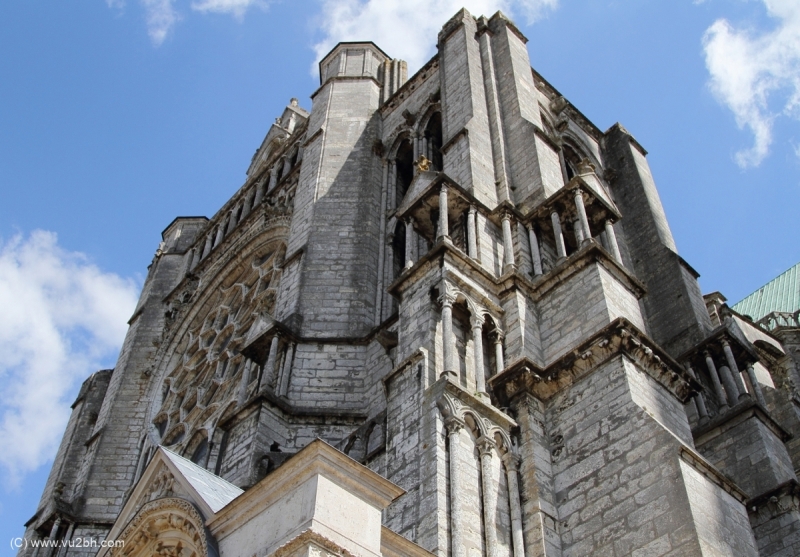 4-IMG_3673_DPPCatH