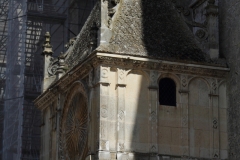 10-IMG_3676_DPPCatV