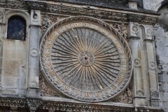 11-IMG_3544_DPPCatV
