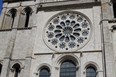 14-IMG_3585_DPPCatV