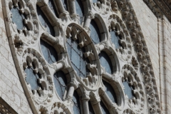 14-IMG_3679_DPPCatV