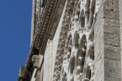15-IMG_3596_DPPCatV