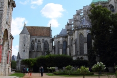17-IMG_3648_DPPCatH