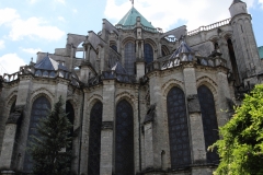 19-IMG_3516_DPPCatH