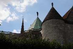 20-IMG_3635_DPPCatH