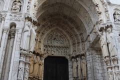 7-IMG_3539_DPPCatV