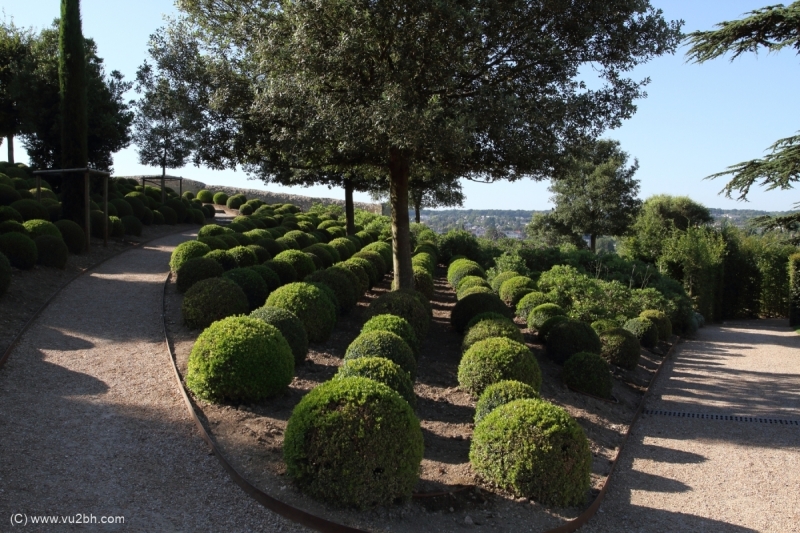 26-IMG_2335CASTEL