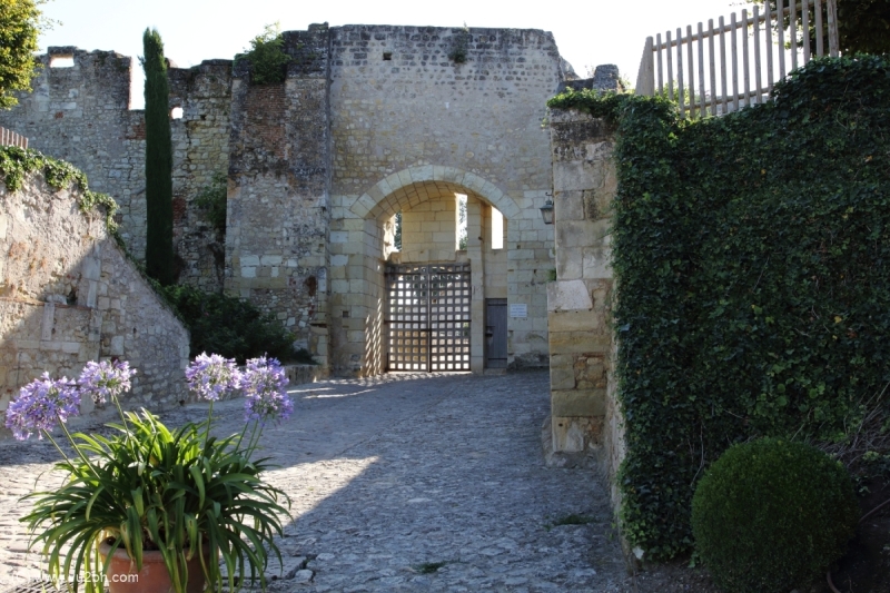 28-IMG_2339CASTEL