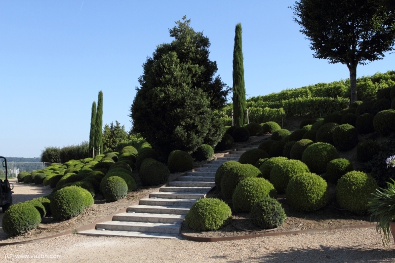29-IMG_2341CASTEL