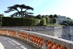 23-IMG_2311CASTEL